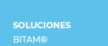 BITAM